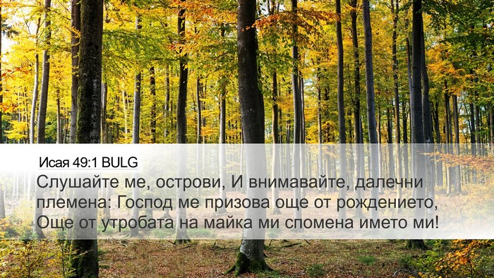 Исая 49:1 BULG Bible Verse Image