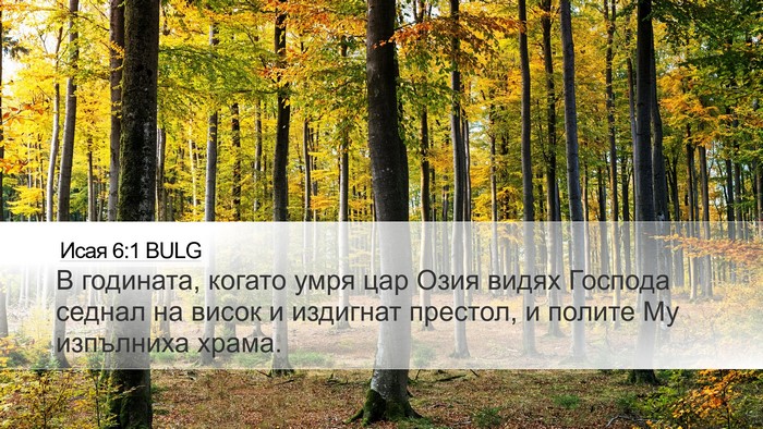 Исая 6:1 BULG Bible Verse Image