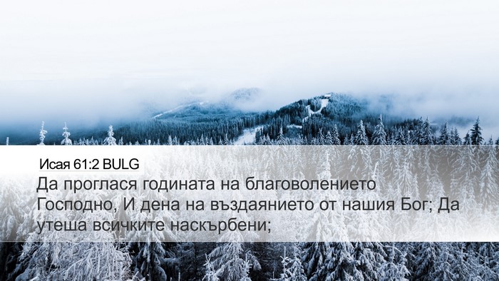 Исая 61:2 BULG Bible Verse Image