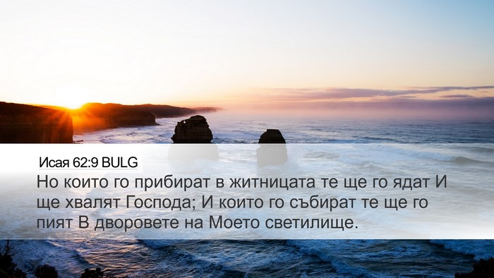 Исая 62:9 BULG Desktop Wallpaper - Но които го прибират в - Desktop Bible Verse Wallpaper