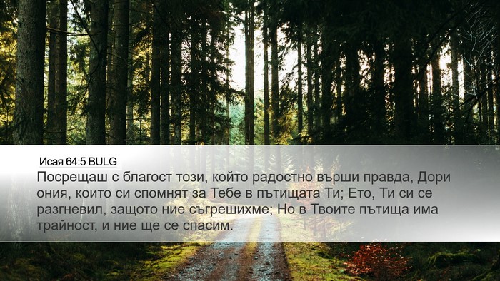 Исая 64:5 BULG Bible Verse Image