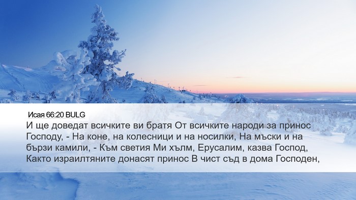 Исая 66:20 BULG Bible Verse Image