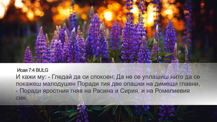 Исая 7:4 BULG Bible Verse Image