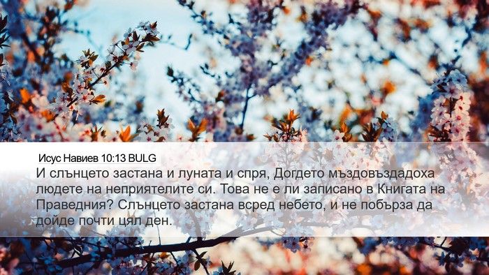 Исус Навиев 10:13 BULG Bible Verse Image