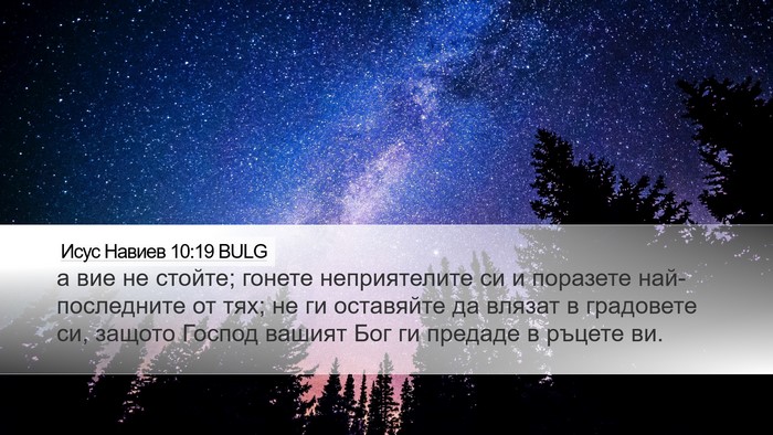Исус Навиев 10:19 BULG Bible Verse Image
