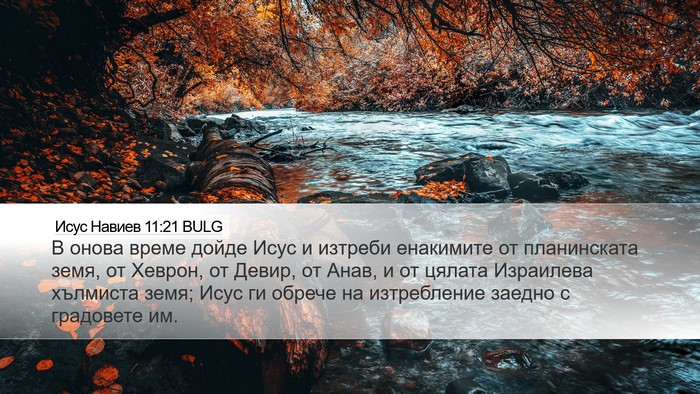 Исус Навиев 11:21 BULG Desktop Wallpaper - В онова време дойде Исус и - Desktop Bible Verse Wallpaper