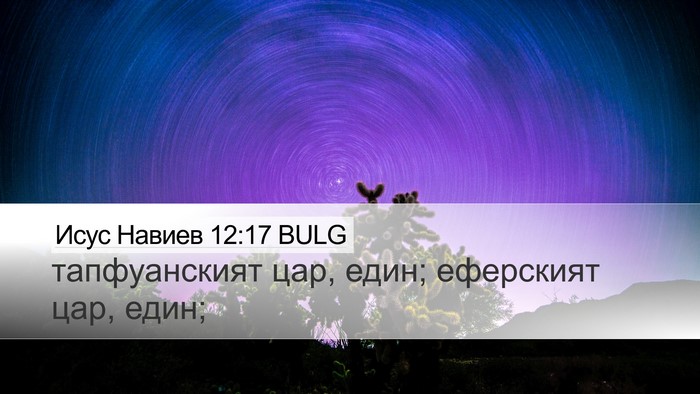 Исус Навиев 12:17 BULG Bible Verse Image