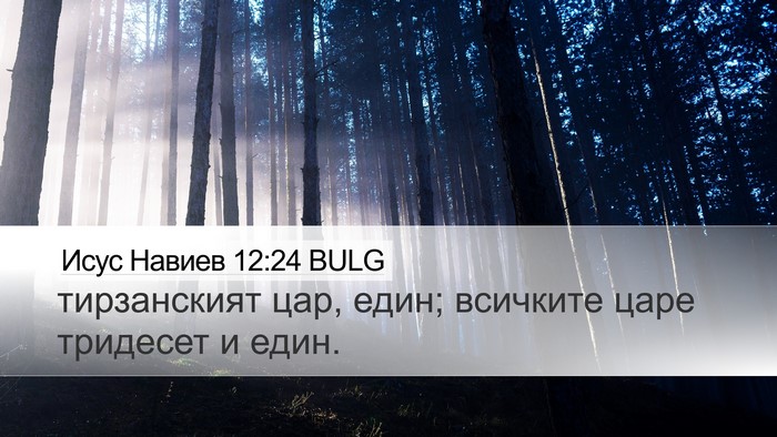 Исус Навиев 12:24 BULG Bible Verse Image