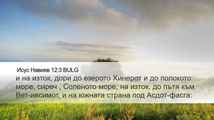 Исус Навиев 12:3 BULG Bible Verse Image