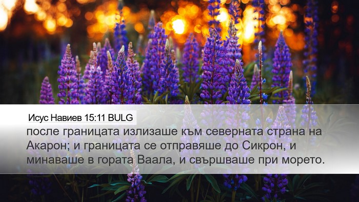 Исус Навиев 15:11 BULG Desktop Wallpaper - после границата излизаше - Desktop Bible Verse Wallpaper