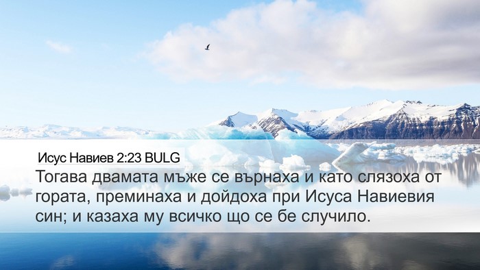 Исус Навиев 2:23 BULG Bible Verse Image