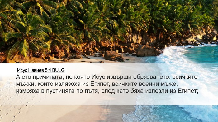 Исус Навиев 5:4 BULG Desktop Wallpaper - А ето причината, по която - Desktop Bible Verse Wallpaper