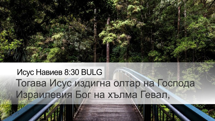 Исус Навиев 8:30 BULG Bible Verse Image