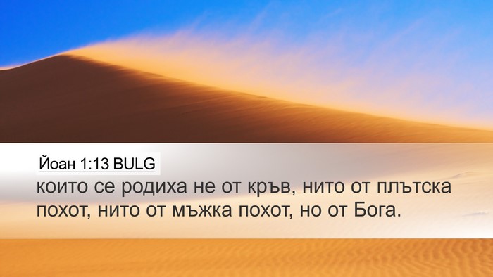 Йоан 1:13 BULG Bible Verse Image