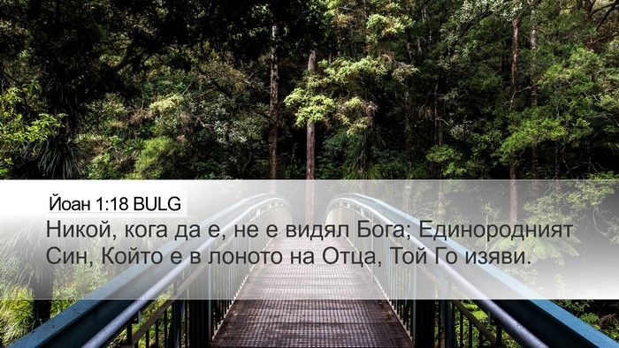 Йоан 1:18 BULG Bible Verse Image