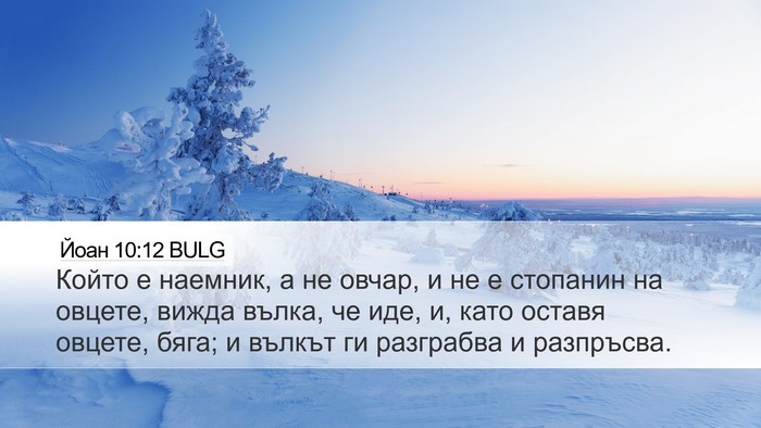 Йоан 10:12 BULG Bible Verse Image