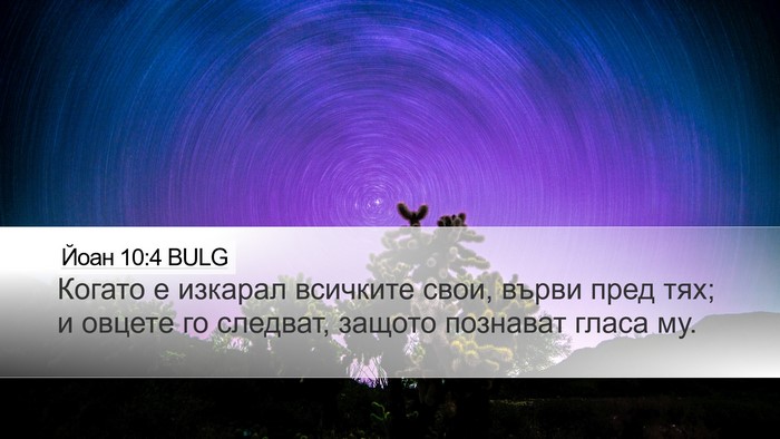 Йоан 10:4 BULG Desktop Wallpaper - Когато е изкарал всичките - Desktop Bible Verse Wallpaper