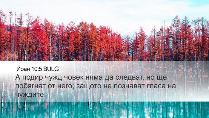 Йоан 10:5 BULG Bible Verse Image