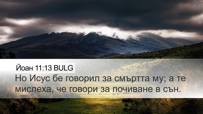 Йоан 11:13 BULG Bible Verse Image