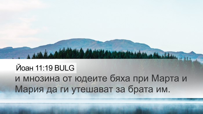 Йоан 11:19 BULG Bible Verse Image