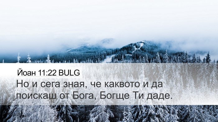 Йоан 11:22 BULG Bible Verse Image