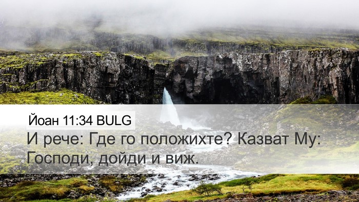 Йоан 11:34 BULG Desktop Wallpaper - И рече: Где го положихте? - Desktop Bible Verse Wallpaper