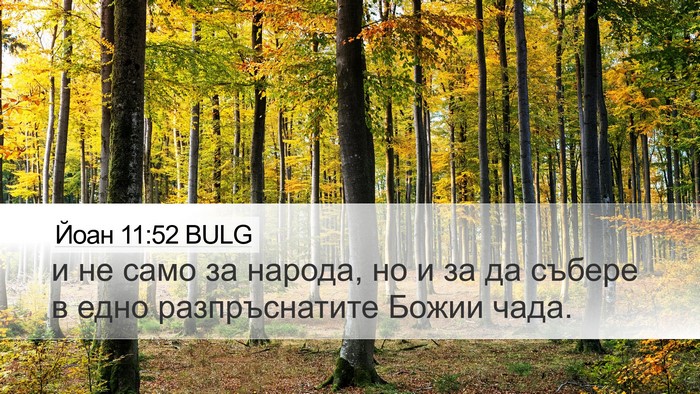 Йоан 11:52 BULG Bible Verse Image