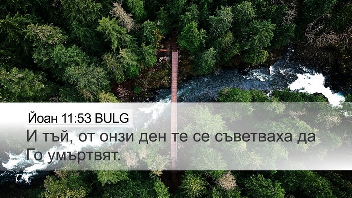 Йоан 11:53 BULG Bible Verse Image