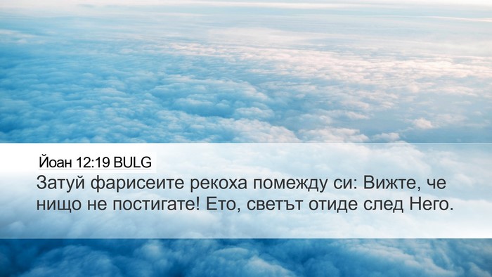 Йоан 12:19 BULG Bible Verse Image