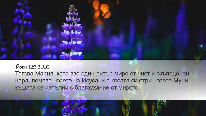 Йоан 12:3 BULG Bible Verse Image