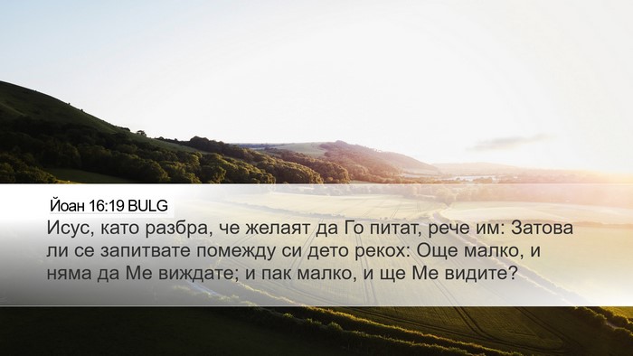 Йоан 16:19 BULG Bible Verse Image