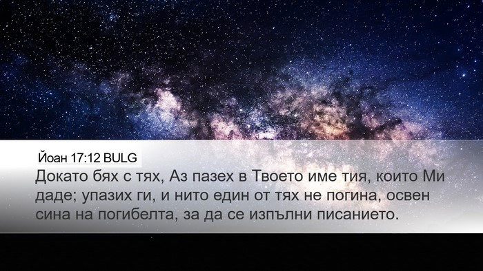 Йоан 17:12 BULG Bible Verse Image