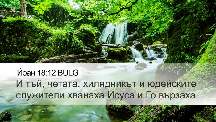 Йоан 18:12 BULG Bible Verse Image