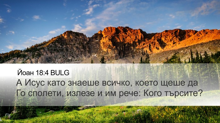 Йоан 18:4 BULG Bible Verse Image