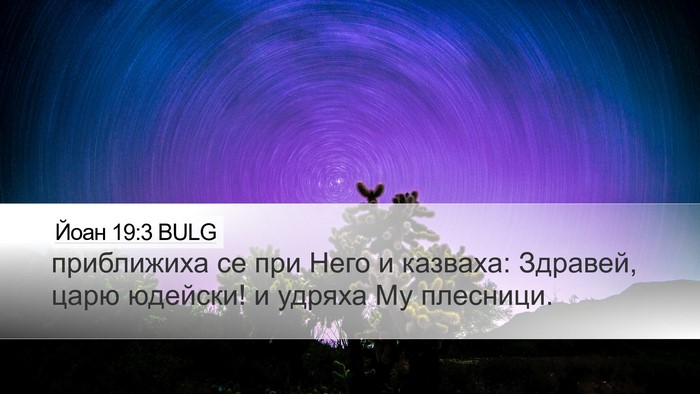 Йоан 19:3 BULG Bible Verse Image
