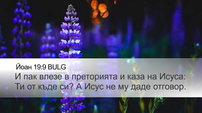 Йоан 19:9 BULG Bible Verse Image