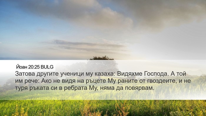 Йоан 20:25 BULG Bible Verse Image