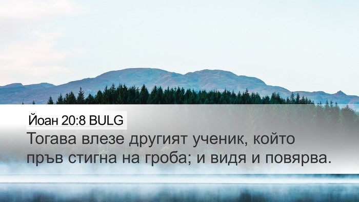 Йоан 20:8 BULG Bible Verse Image