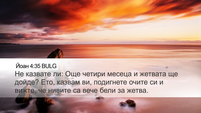 Йоан 4:35 BULG Bible Verse Image