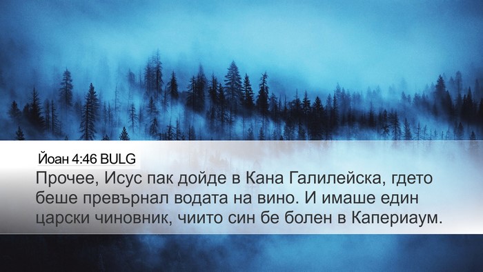 Йоан 4:46 BULG Bible Verse Image