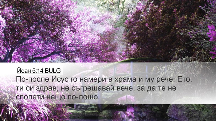 Йоан 5:14 BULG Bible Verse Image