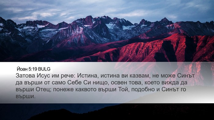Йоан 5:19 BULG Bible Verse Image