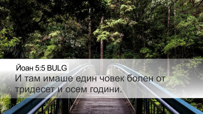 Йоан 5:5 BULG Bible Verse Image