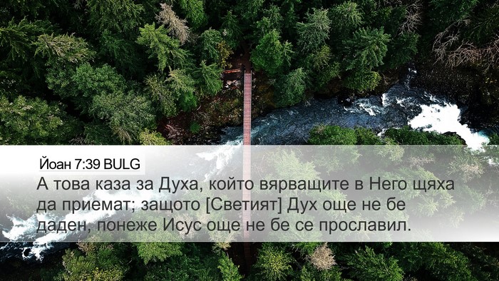 Йоан 7:39 BULG Desktop Wallpaper - А това каза за Духа, който - Desktop Bible Verse Wallpaper