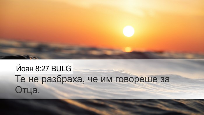 Йоан 8:27 BULG Bible Verse Image