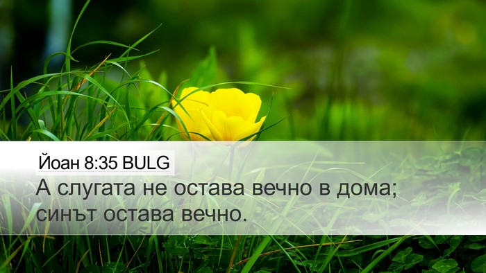 Йоан 8:35 BULG Bible Verse Image