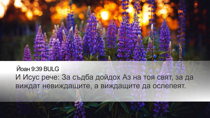 Йоан 9:39 BULG Bible Verse Image