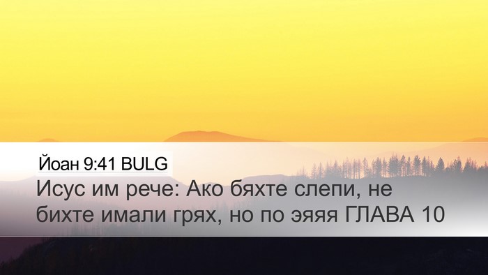 Йоан 9:41 BULG Bible Verse Image