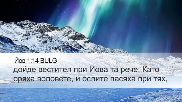 Йов 1:14 BULG Bible Verse Image