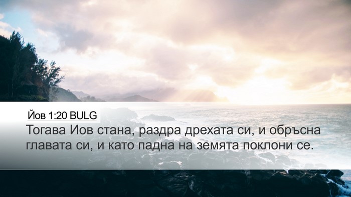 Йов 1:20 BULG Bible Verse Image